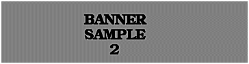 90 X 360 BANNER SIZE SAMPLE