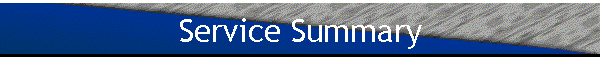 Service Summary