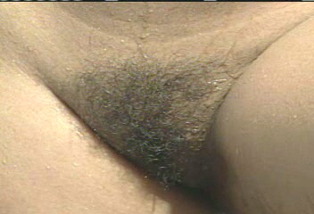 P13.jpg