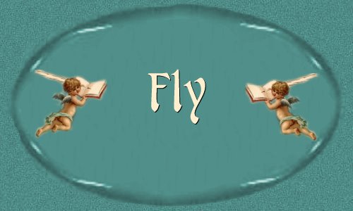 Fly