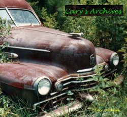 Hey, what's that hiding in the trees? It's a hearse!