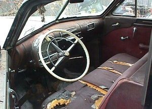 Looking through the driver's side door