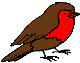 Robin