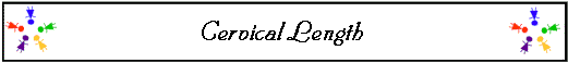  Cervical Length 