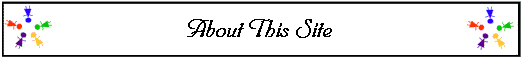  About This Site 