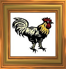 Rooster
