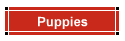 Puppies