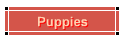 Puppies