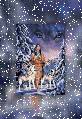 Click for preview picture of "23dec2 (253 x 368)"
