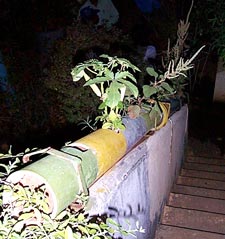the banister turned into a unique garden.