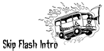 Skip Flash
