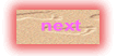 webpage button 10 by freelance web designer from India