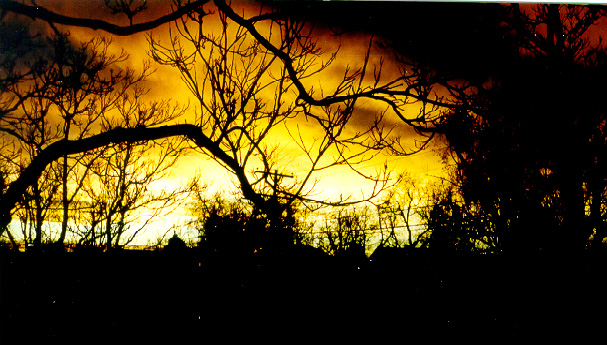 dawn...yawn...