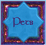 pets