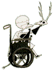 Dr. Finkelstein