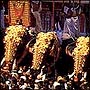 Fairs in India