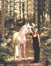 horse.jpg (243268 bytes)