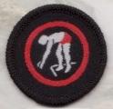 Swimmer Badge