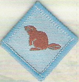 Swimming Otter Badge