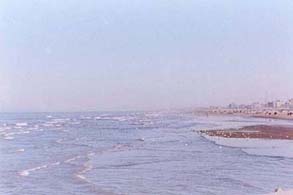 mare_1.jpg (11279 bytes)