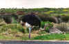 do_you_like_being_disturbed.jpg (37701 bytes)