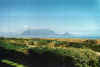 tablemountain_from_hotel.jpg (36036 bytes)
