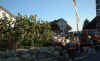 a010903.jpg (69125 bytes)