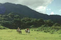 Imagen de cabalgata en La Quesera