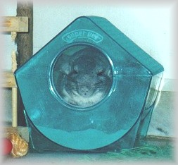 Filippo nella vasca da bagno