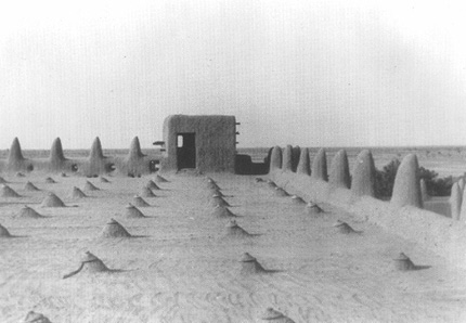 Les architectures de terre Dj�nne 1996