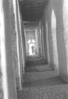 Les architectures de terre Niono 1996