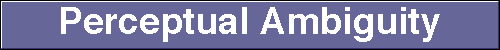 Perceptual Ambiguity