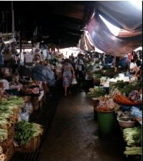 Fresh Vegitables