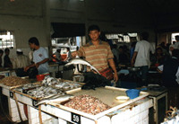 Fresh Fish