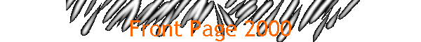 Front Page 2000