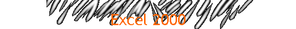 Excel 2000