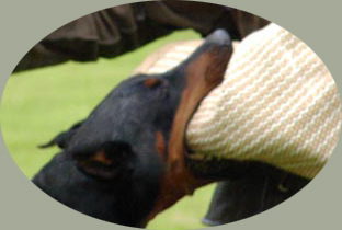 Click here - and you'll be taken to our guest book ......