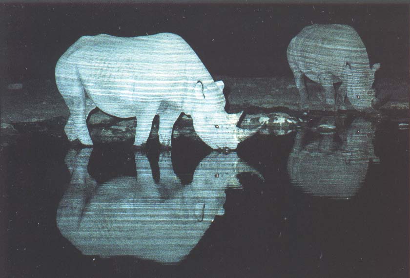 Na-Etosha-rhinokaart