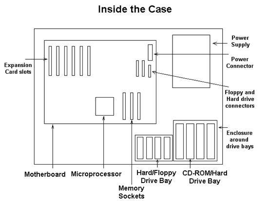 Inside the Case