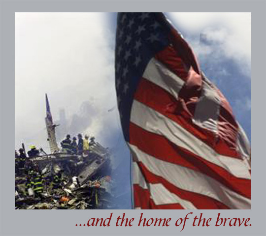 brave.jpg (81112 bytes)