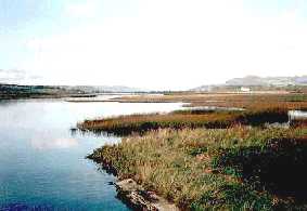 Inch Lake close-up