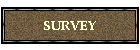SURVEY