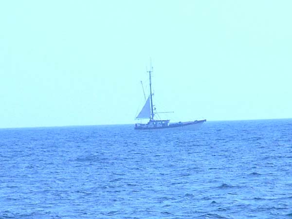 2004_0814_175104