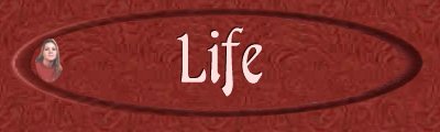Life Banner