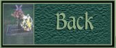 Back Button