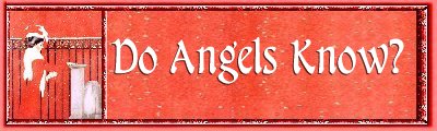 Do Angels Know Banner