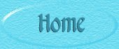 Home Button