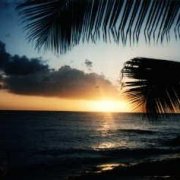Sunset Pic