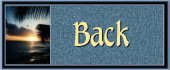 Back Button