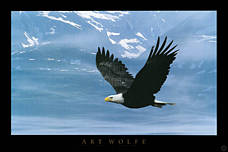 My Guiding Spirit